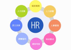 企業申(shen)請人(ren)力(li)資(zi)源服(fu)務(wu)許(xu)可證(zheng)全流(liu)程與資(zi)質(zhi)解析(xi)